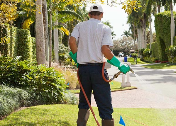 About Joseph UT Pest Control